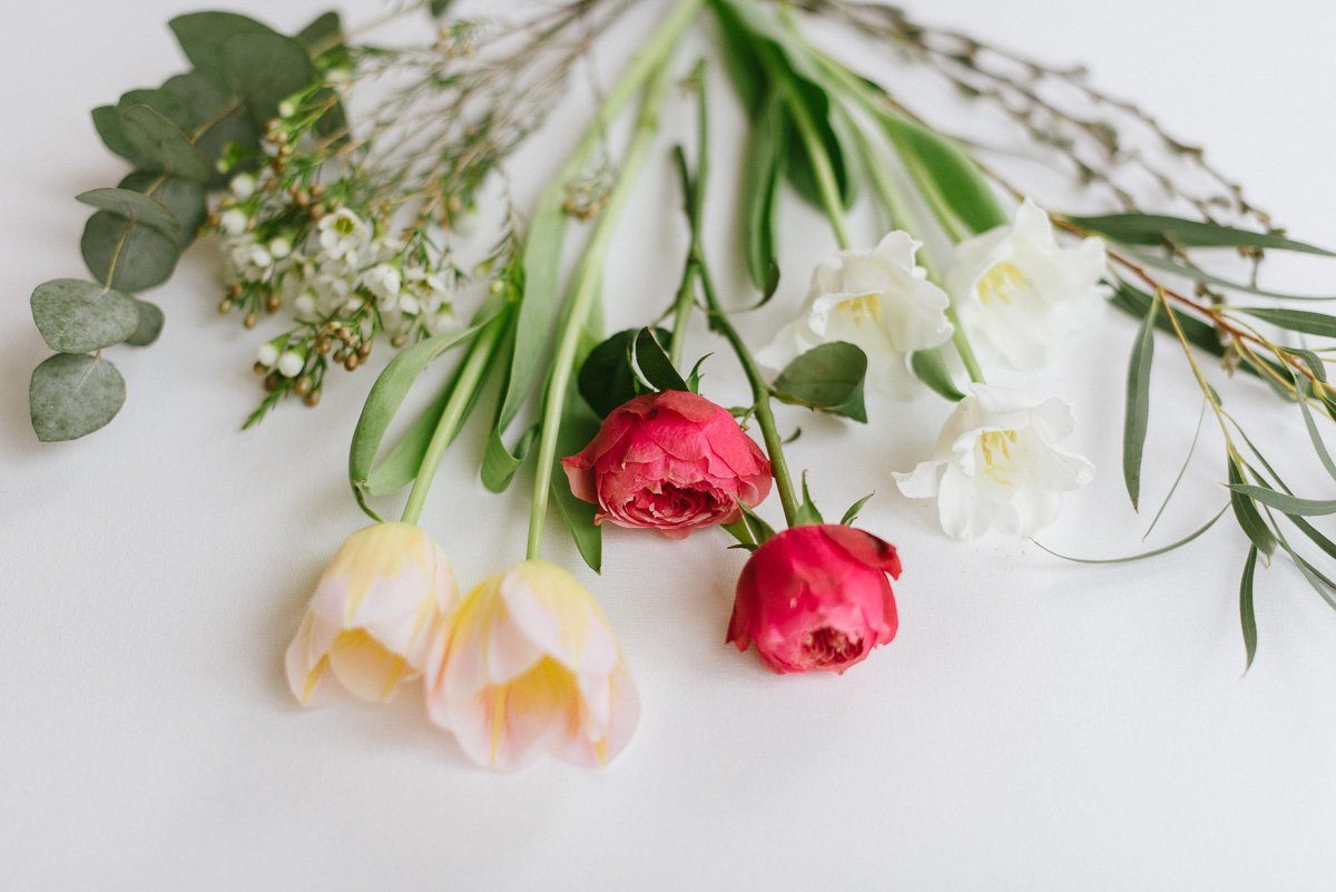 Tulpe und Frühlingsblumen