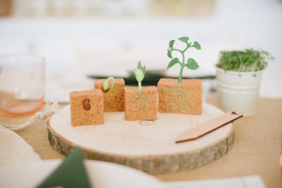 Spiele, Rezepte und DIY-Ideen für den Kindergeburtstag im Garten