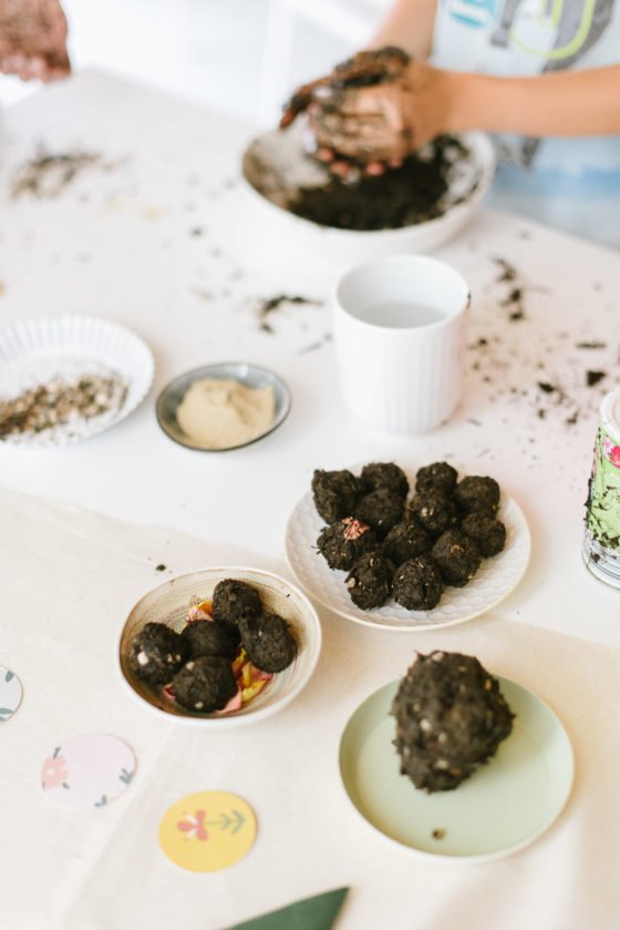 Kindergeburtstag Gaertchen Party Box - Seedbombs Samenbomben selbst machen