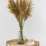 Pampagras natur Trockenblumen online
