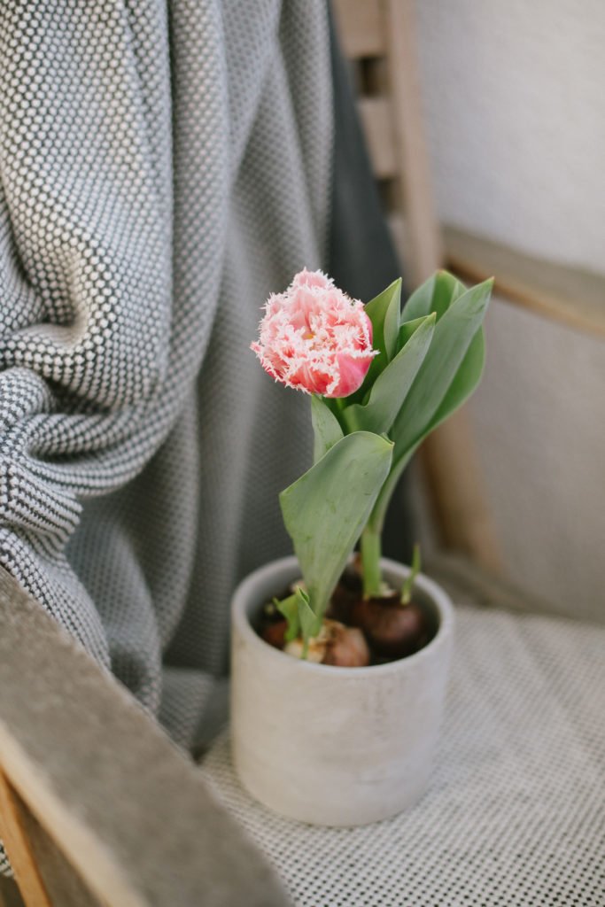 Balkon-Make Over: Balkon fit für den Frühling machen