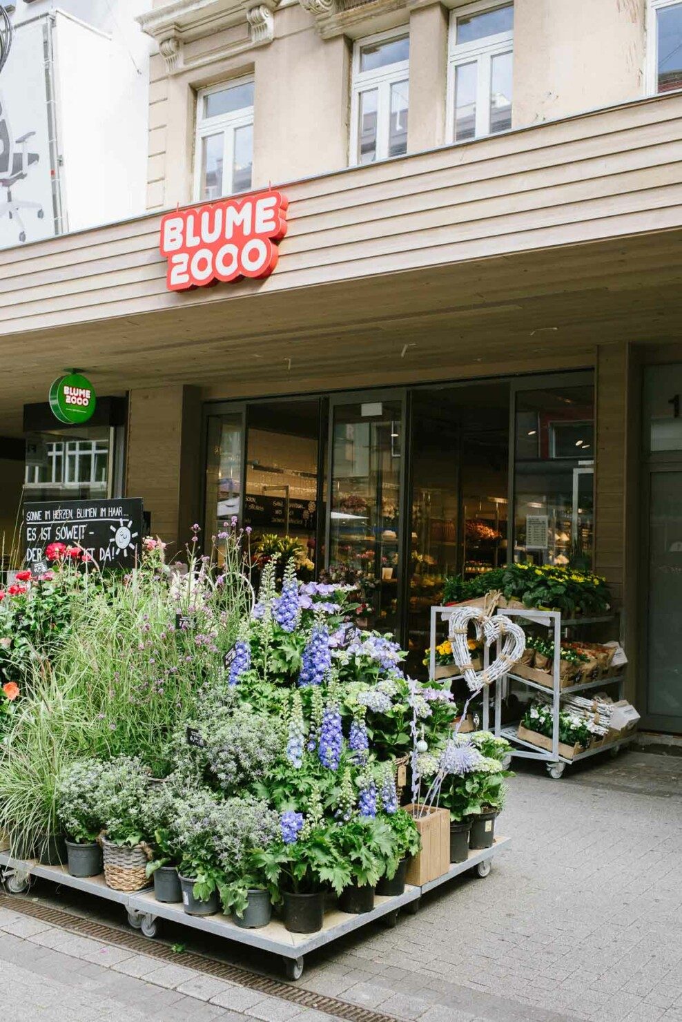 Neue Blume2000 Filiale in Karlsruhe Fräulein K. Sagt Ja