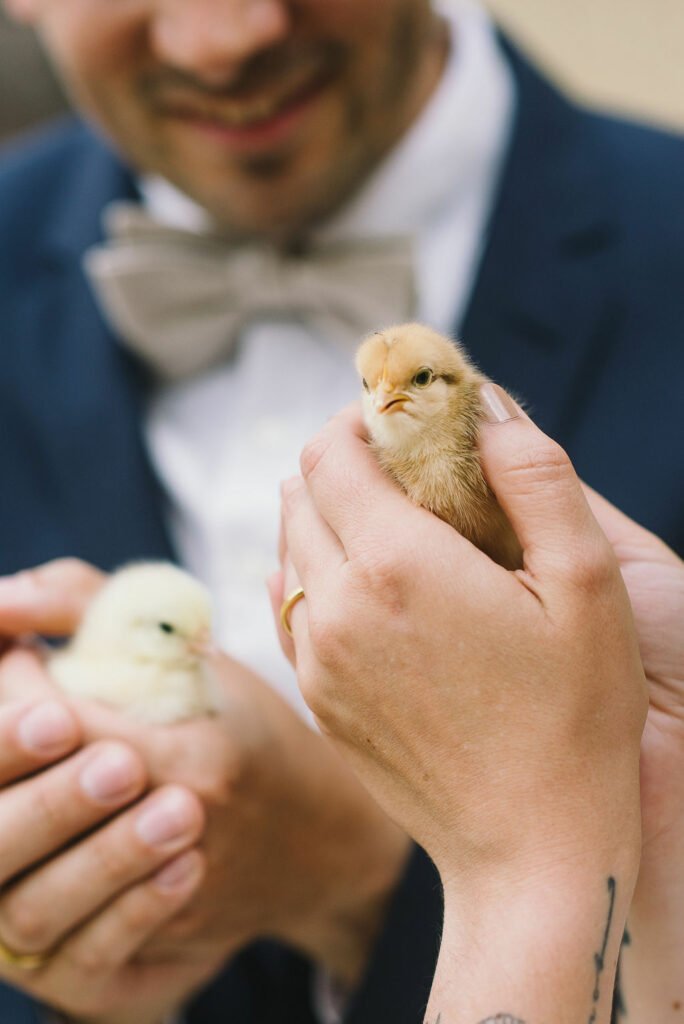 Green Wedding Nachhaltig Heiraten regional saisonal Hochzeit feiern