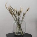 Vase Forshem Glas