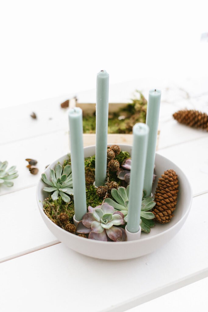 DIY Kerzenschale mit Sukkulenten als minimalistischen Adventskranz. Kerzenschale mit natürlichen Materialien füllen und Stabkerzen anzünden.