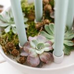 DIY Kerzenschale mit Sukkulenten als minimalistischen Adventskranz. Kerzenschale mit natürlichen Materialien füllen und Stabkerzen anzünden.