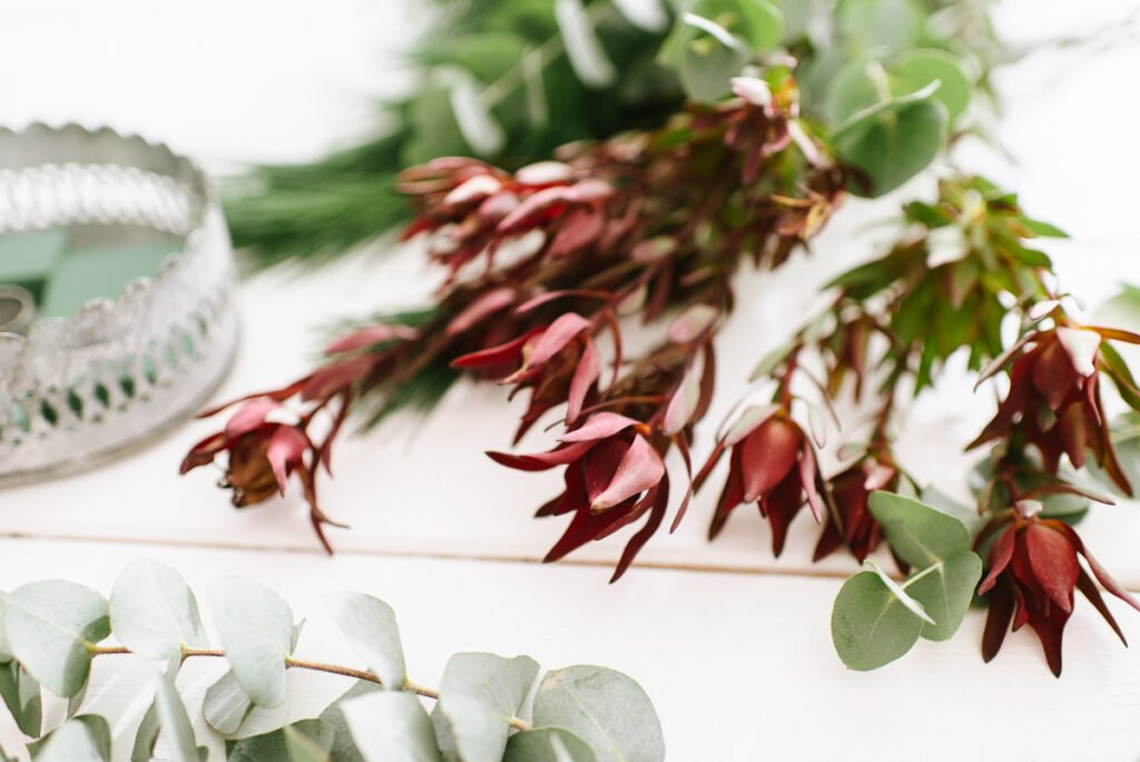 DIY Stern und Adventskranz mit Pflanzen für draußen dekorieren