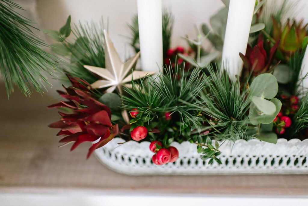 DIY Stern und Adventskranz mit Pflanzen für draußen dekorieren