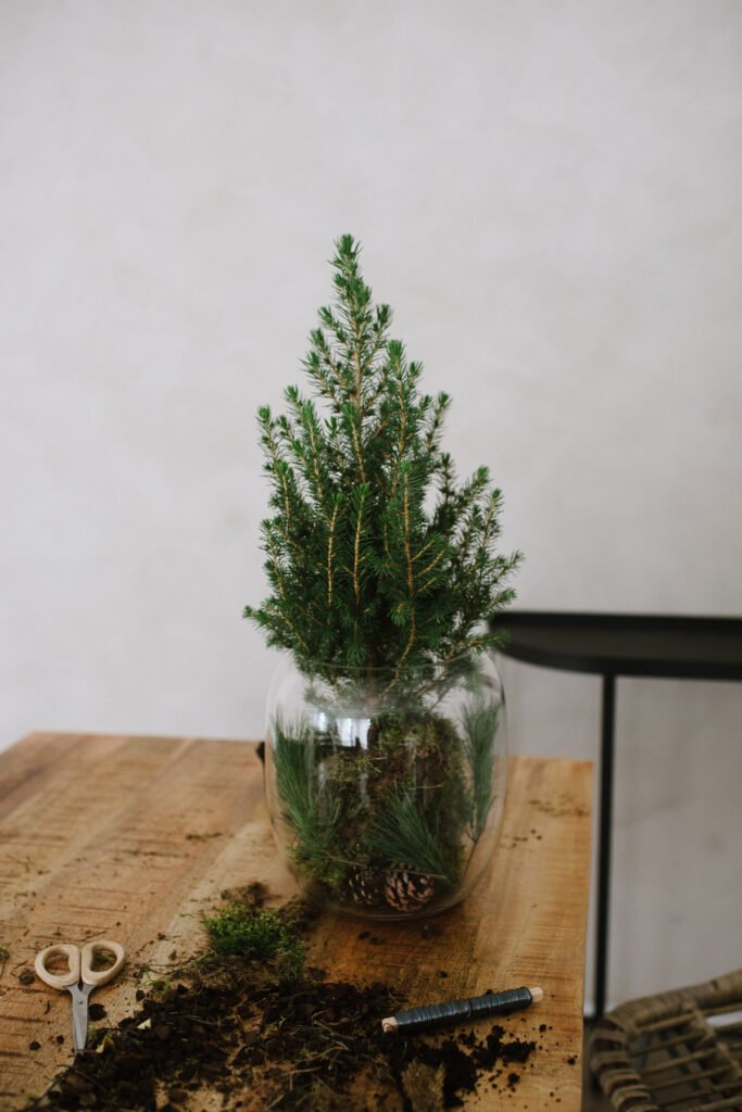 DIY Idee: Tannenbäumchen in Vase