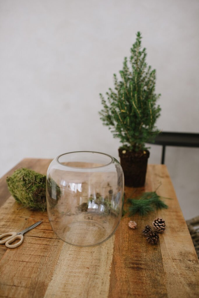 DIY Idee: Tannenbäumchen in Vase