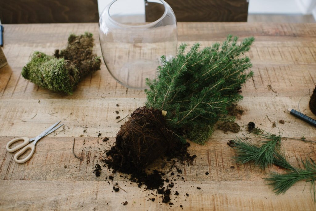 DIY Idee: Tannenbäumchen in Vase