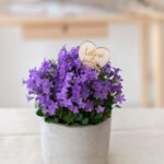 Blumenstecker Lehrer mit Herz