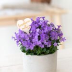 Blumenstecker Erzieher-in mit Herz