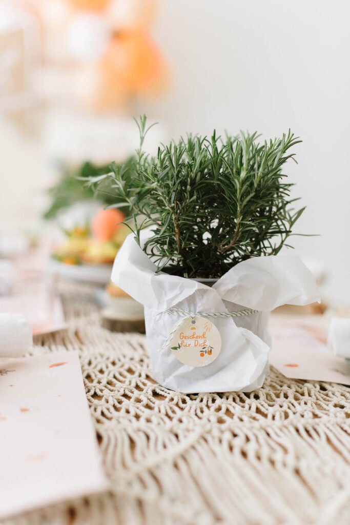 DIY Gastgeschenk einfach befüllen und eure Gäste begeistern - Gastgeschenk für Hochzeit, Taufe, Geburtstagsfest uvm.