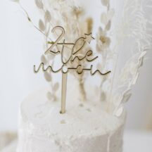 Cake Topper 2 the moon
