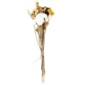 Trockenblumen Set, natur gelb ca. 30cm