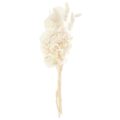 Trockenblumen Set, natur weiß ca. 30cm
