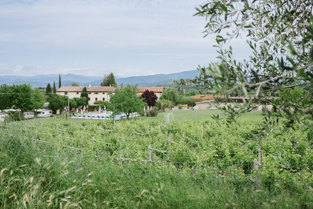 Weingut Le Caldane am Gardasee