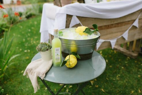 Bar Schild Holz Zitrone (3) Bar Schild Holz Zitrone