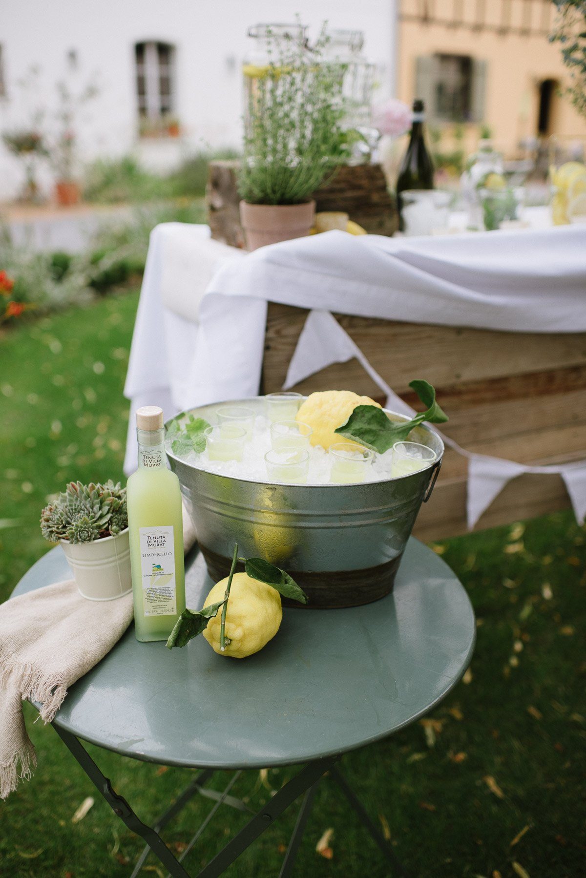 Wanne mit Eiswürfeln und kleinen Limoncello Shots