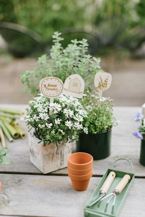 Geschenkideen für den Garten Fräulein K. Sagt Ja