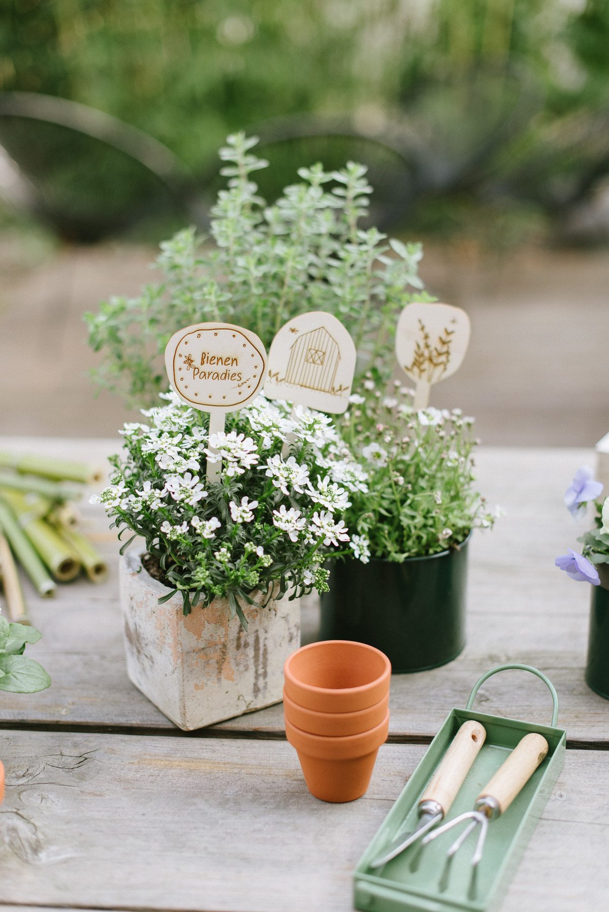 Schöne Geschenkideen für den Garten: Liebevolle Geschenke für Outdoor- Fans mit Balkon und Garten. Personalisierte Geschenke für Gärtner.