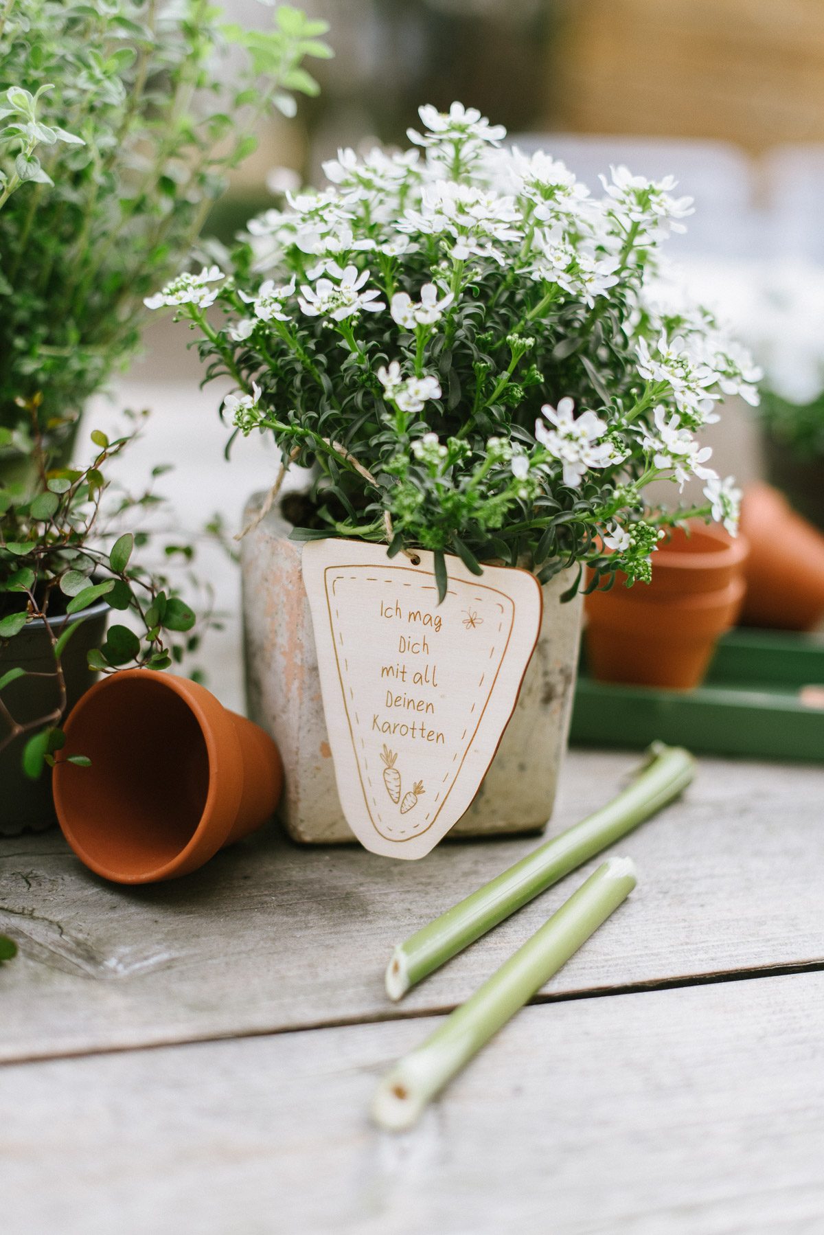 Geschenkanhänger Garten Geschenke