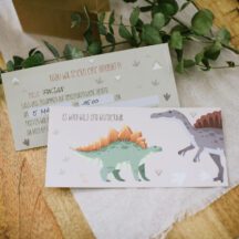 Dinoparty Box Kindergeburtstag Einladung