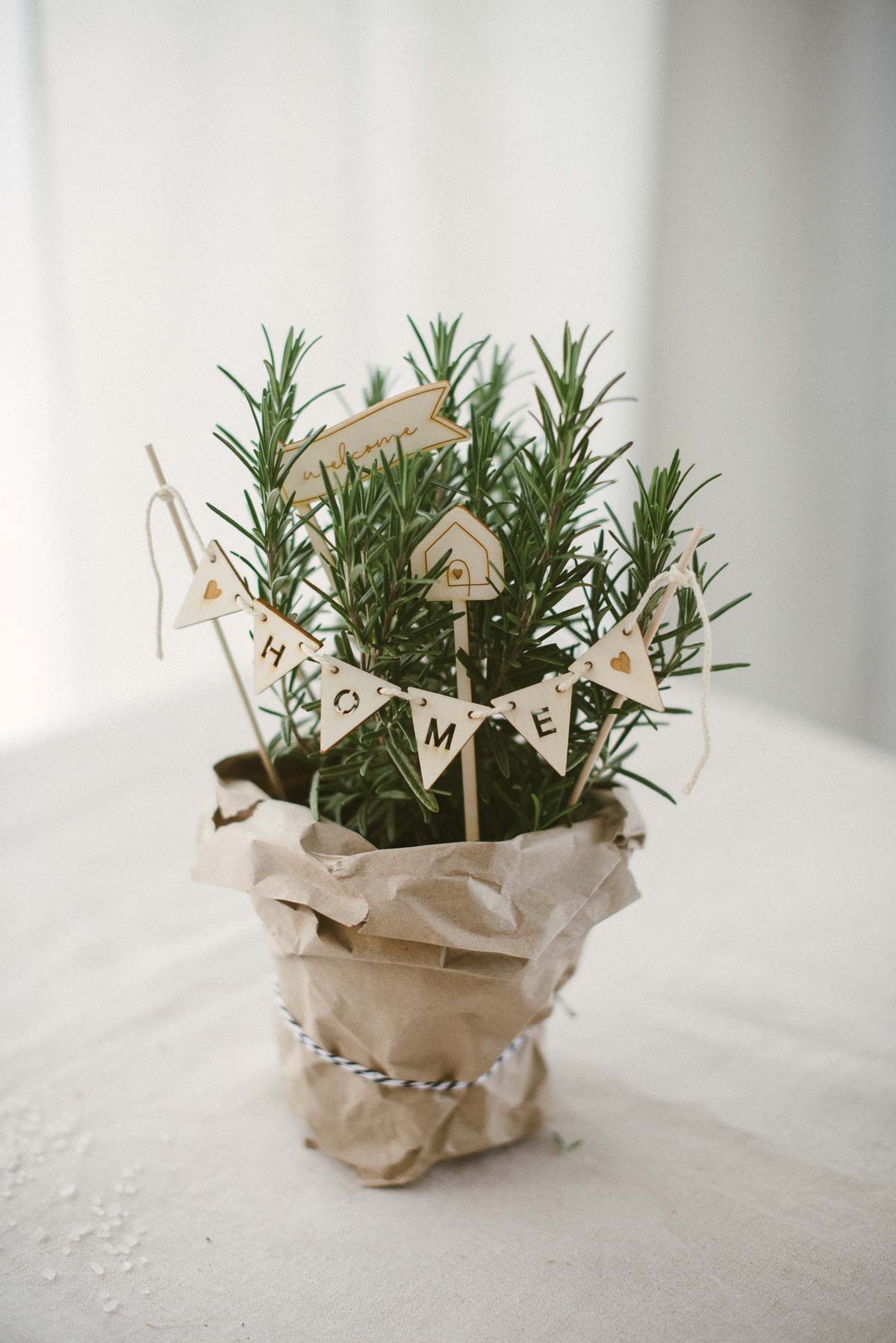 Geschenk zum Einzug: Kräutertopf mit Wimpelkette und Bumensteckern