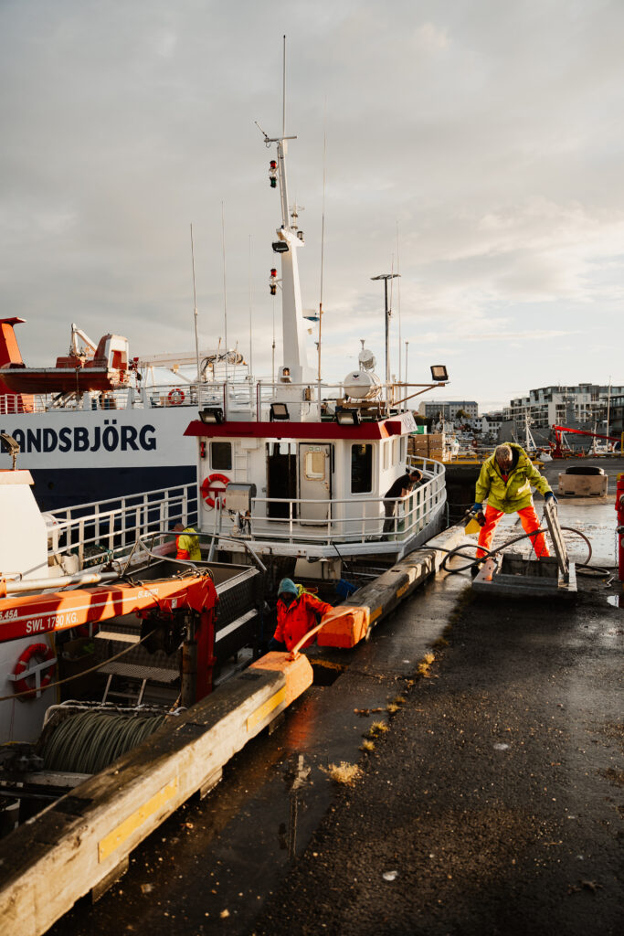 Hafen Rejkjavik