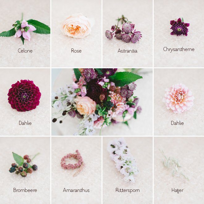 Brautstraußgalerie September - Übersicht Blumen Welche Blumen gibt es und welche passen zusammen