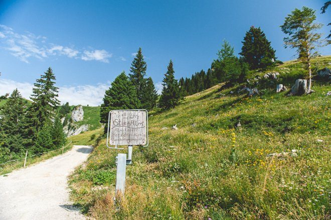 Hochzeit auf der Alm von Denise Stock Fotograpfie4