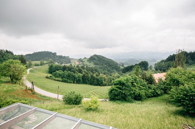 Hochzeit im Weingut Holler von Bernhard Luck11