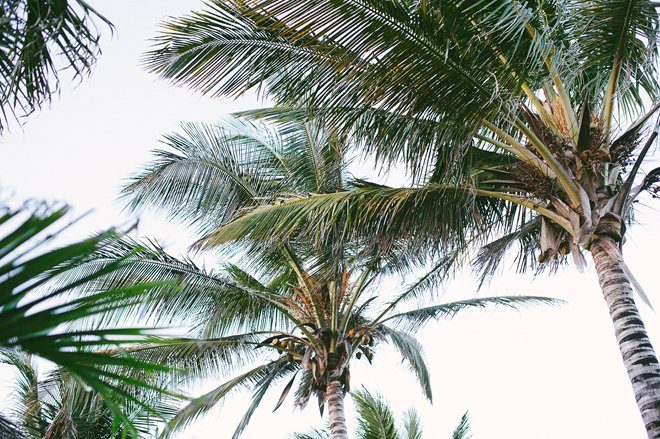 Per Aquum Essque Zalu Zanzibar Erfahrungen10