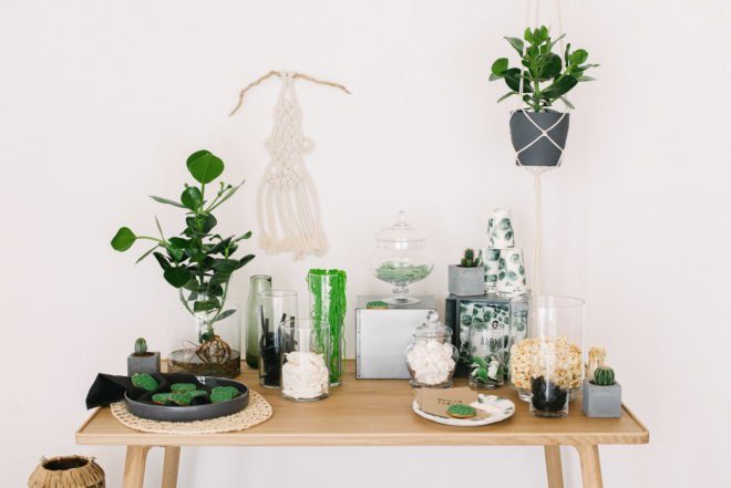 DIY Candy Bar Urban Jungle