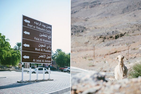 reiseziel Orient für die Flitterwochen Oman17