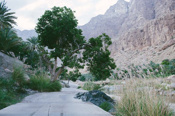 reiseziel Orient für die Flitterwochen Oman8