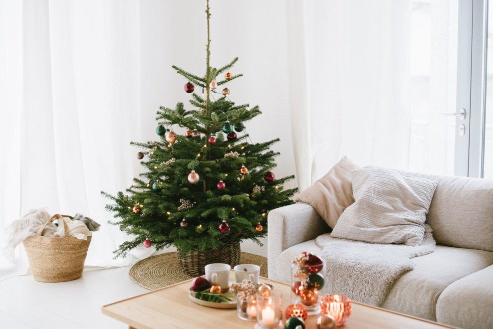 weihnachtsbaum blume 2000